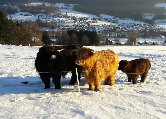 La Maison Jaune בית נופש Cleurie